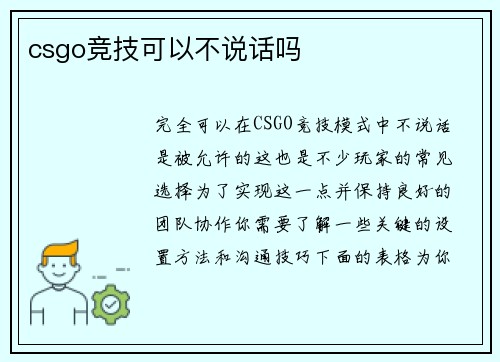csgo竞技可以不说话吗